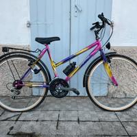 Biciletta Range Road – Shimano, uso città