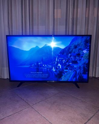 Smart TV LG 49 pollici 