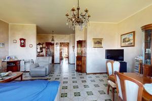 5 LOCALI LIBERO SUBITO!