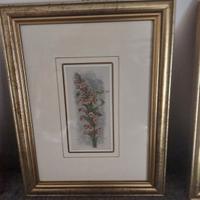 set 4 cornici con immagini floreali