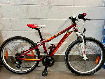 Bicicletta Cube Race 24