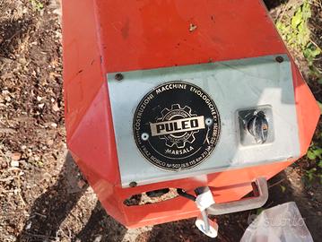 pigia diraspatrice Puleo