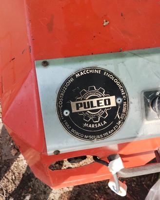 pigia diraspatrice Puleo