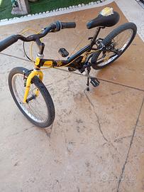 bicicletta da ragazzo 