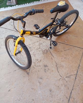 bicicletta da ragazzo 