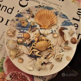 Ceramiche LAVENO _ Piatto da esposizione