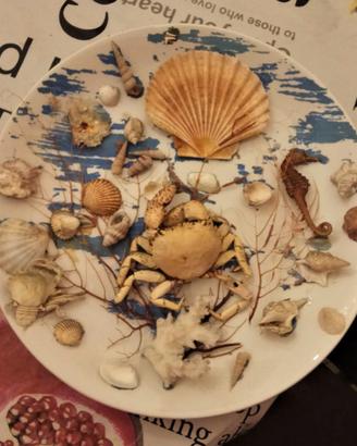 Ceramiche LAVENO _ Piatto da esposizione