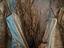 Immagine 5