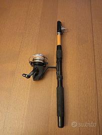 Canna da pesca completa di mulinello