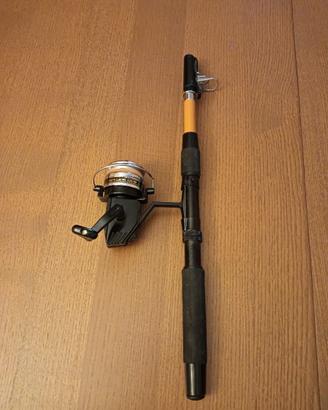 Canna da pesca completa di mulinello