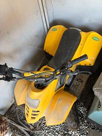 Mini quad