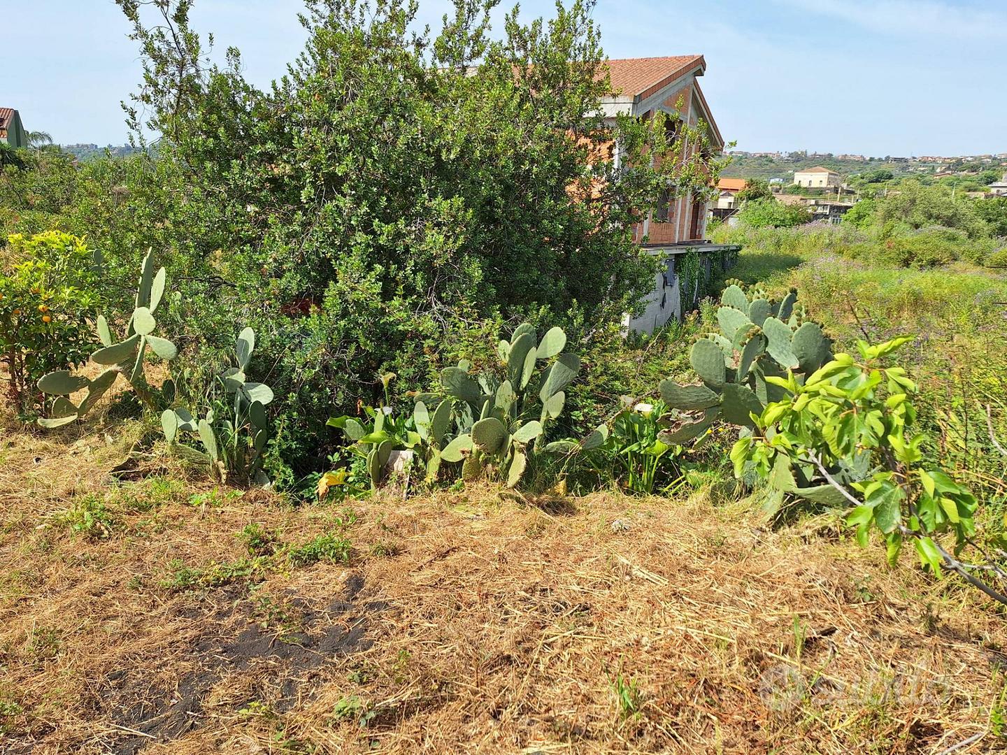 Terreno Edificabile - Acireale - Vista 3