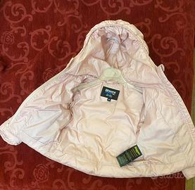 Blauer neonata rosa