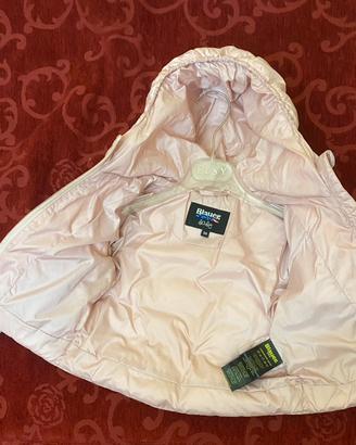 Blauer neonata rosa