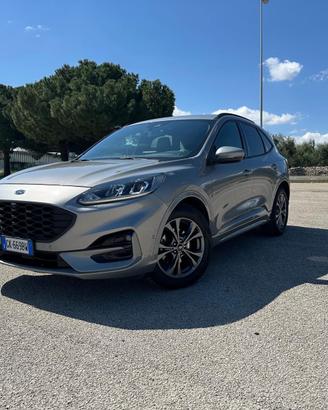 Ford Kuga 1.5 EcoBlue 120 CV aut. 2WD ST-Line X