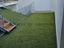 Immagine 23