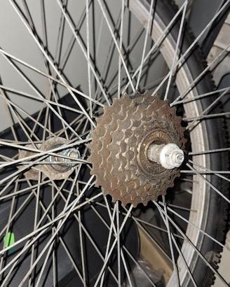 ruote mtb