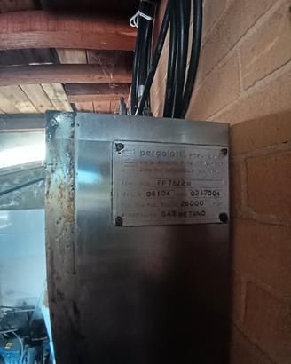 forno per pizza 