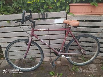 Mountain Bike Atala