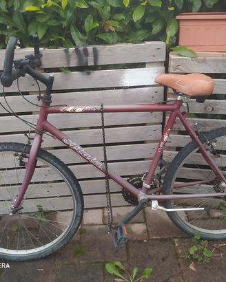 Mountain Bike Atala