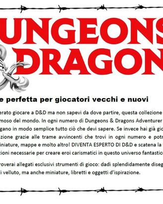 Dungeons & Dragons Adventurer