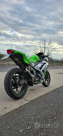 Kawasaki Ninja 2015 300 ABS