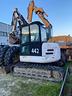 bobcat-442