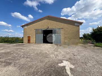 CAPANNONE A VOLTA MANTOVANA