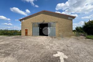 CAPANNONE A VOLTA MANTOVANA