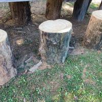 Sgabelli Ceppi per sedute 