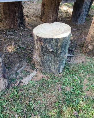 Sgabelli Ceppi per sedute 