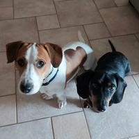 Nuovo proprietario/i