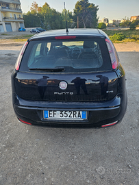 Fiat Punto Evo Gpl 3000 euro