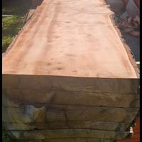 tavole di cedro dell imalaia