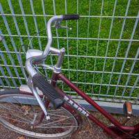 Bici Donna classica Zanchi