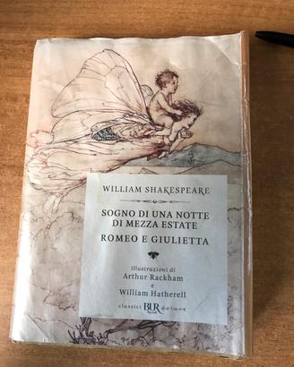 Sogno di una notte di mezza etate