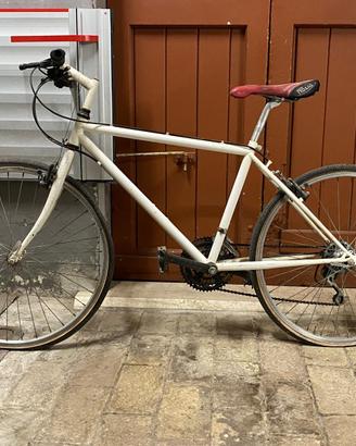 BICI MTB