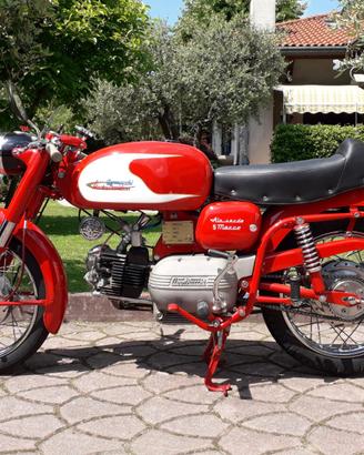 Aermacchi Harley Davidson ALA VERDE  250