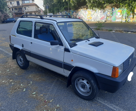 Fiat panda 4x4 trekking