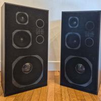 Coppia di casse audio 80W