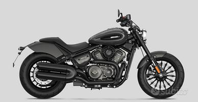 BENDA CHINCHILLA 350 NEO