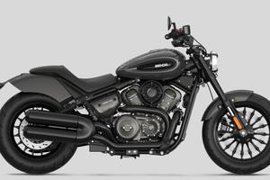 BENDA CHINCHILLA 350 NEO
