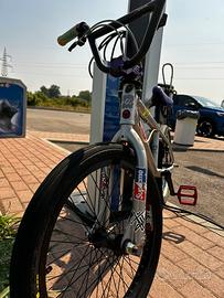 BMX Freestyle 20”
