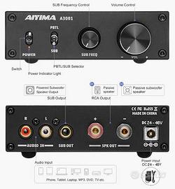 Amplificatore mono Aiyima 3001 48V 10 Amp