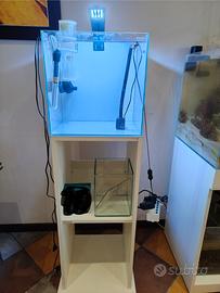 Acquario aqpet reefbox 40