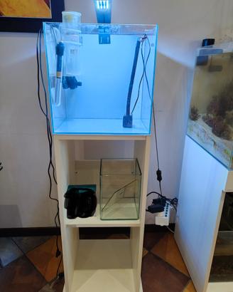 Acquario aqpet reefbox 40
