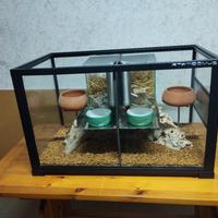 Teca per gerbilli  o criceti 