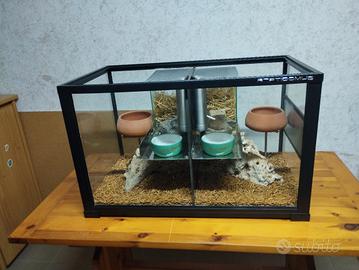 Teca per gerbilli  o criceti 