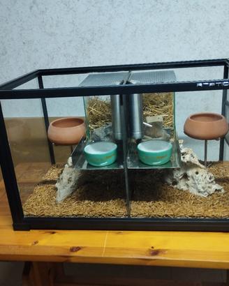 Teca per gerbilli  o criceti 
