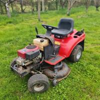 trattorino tagliaerba 